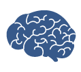 illustration of the brain