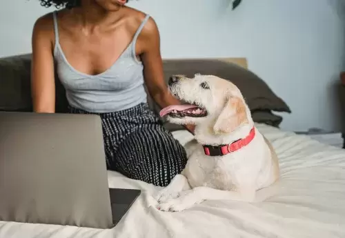 African American female freelancer with netbook near dog